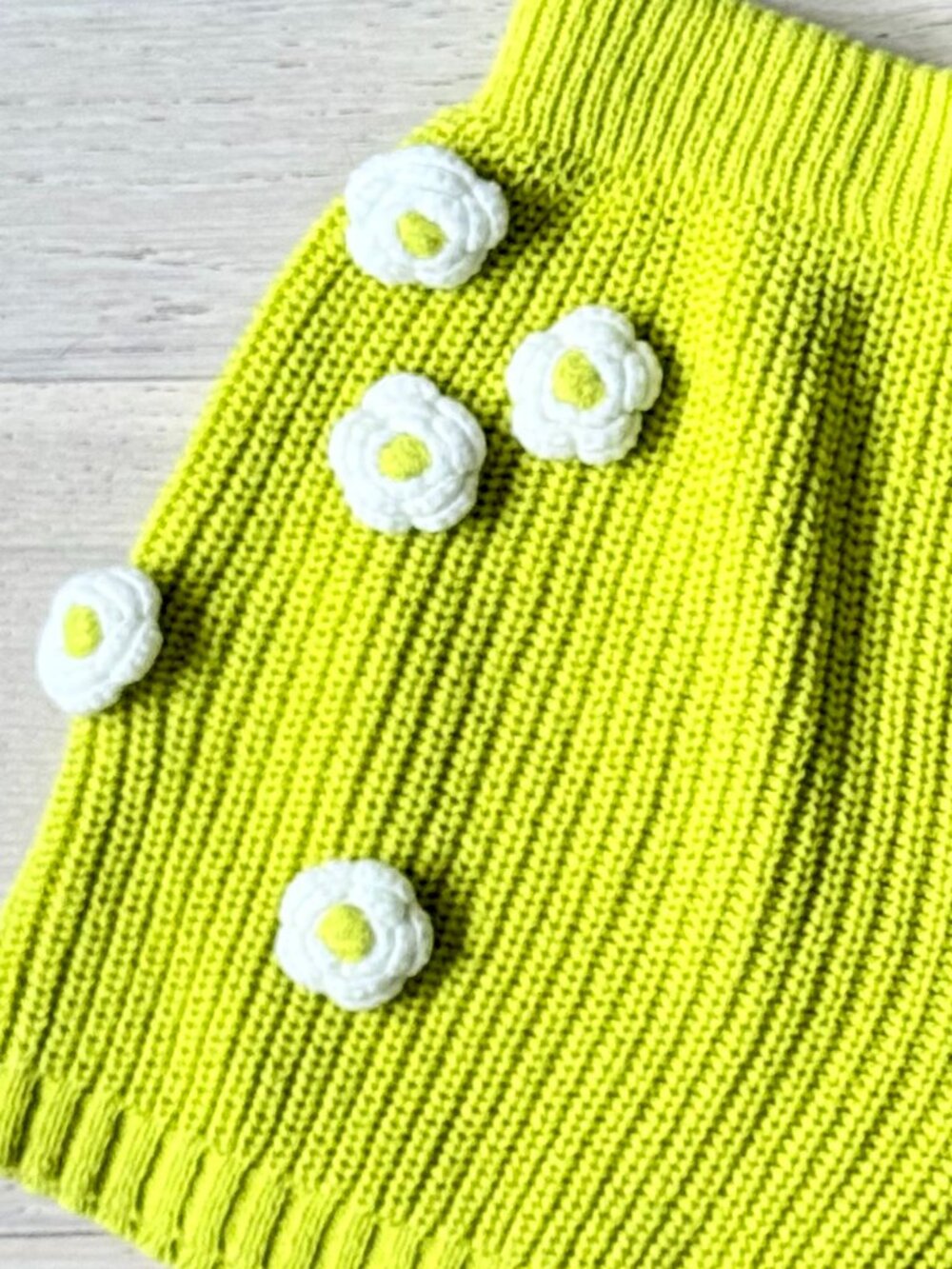 Anthropolgie High Waist Knit Shorts Daisy Small Twee